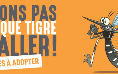 SURVEILLANCE DU MOUSTIQUE TIGRE ET LUTTE ANTIVECTORIELLE