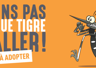 SURVEILLANCE DU MOUSTIQUE TIGRE ET LUTTE ANTIVECTORIELLE