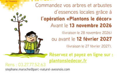 PLANTONS LE DÉCOR : la nouvelle saison est lancée !